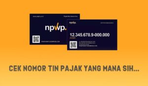 Cek Nomor Tin Pajak